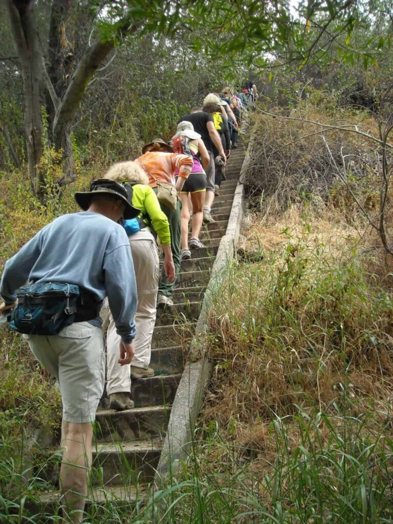 Secret Staircases of Rustic Canyon