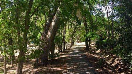 BIKE RIDE TO OJAI – 31 MILE VERSION