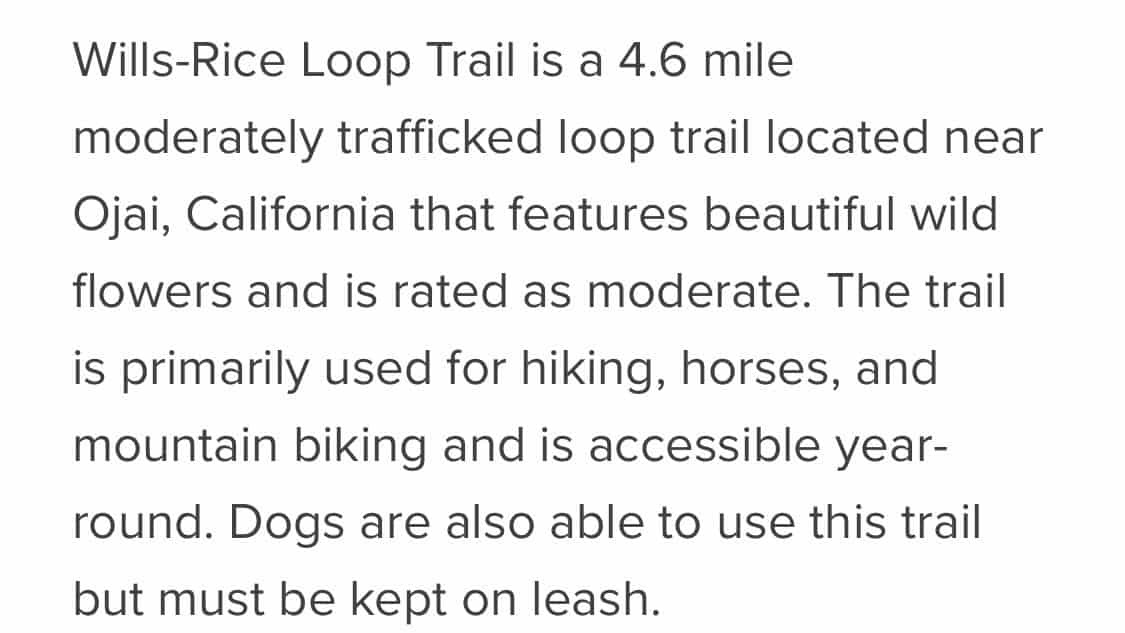Willis Rice cyn loop