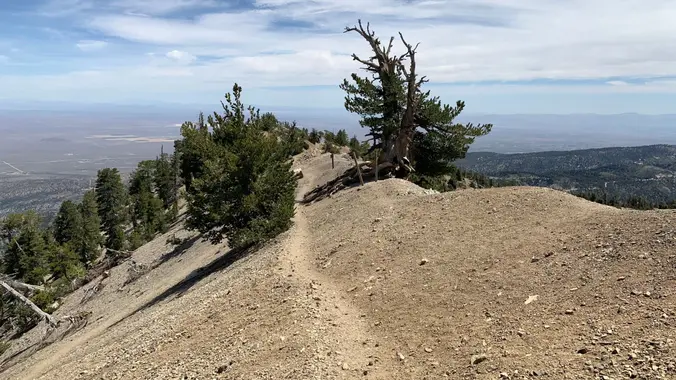 Mount Baden Powell Trail