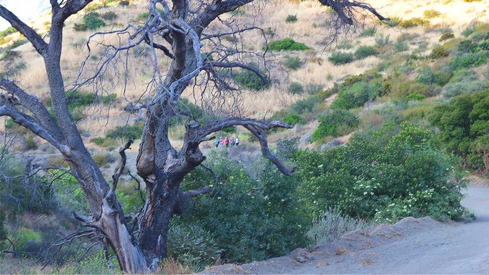 Las Llajas Canyon – Simi Valley