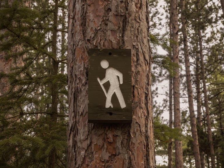A hiking trail sign posted on a tree in a peaceful pine forest setting, indicating a tranquil walking path.