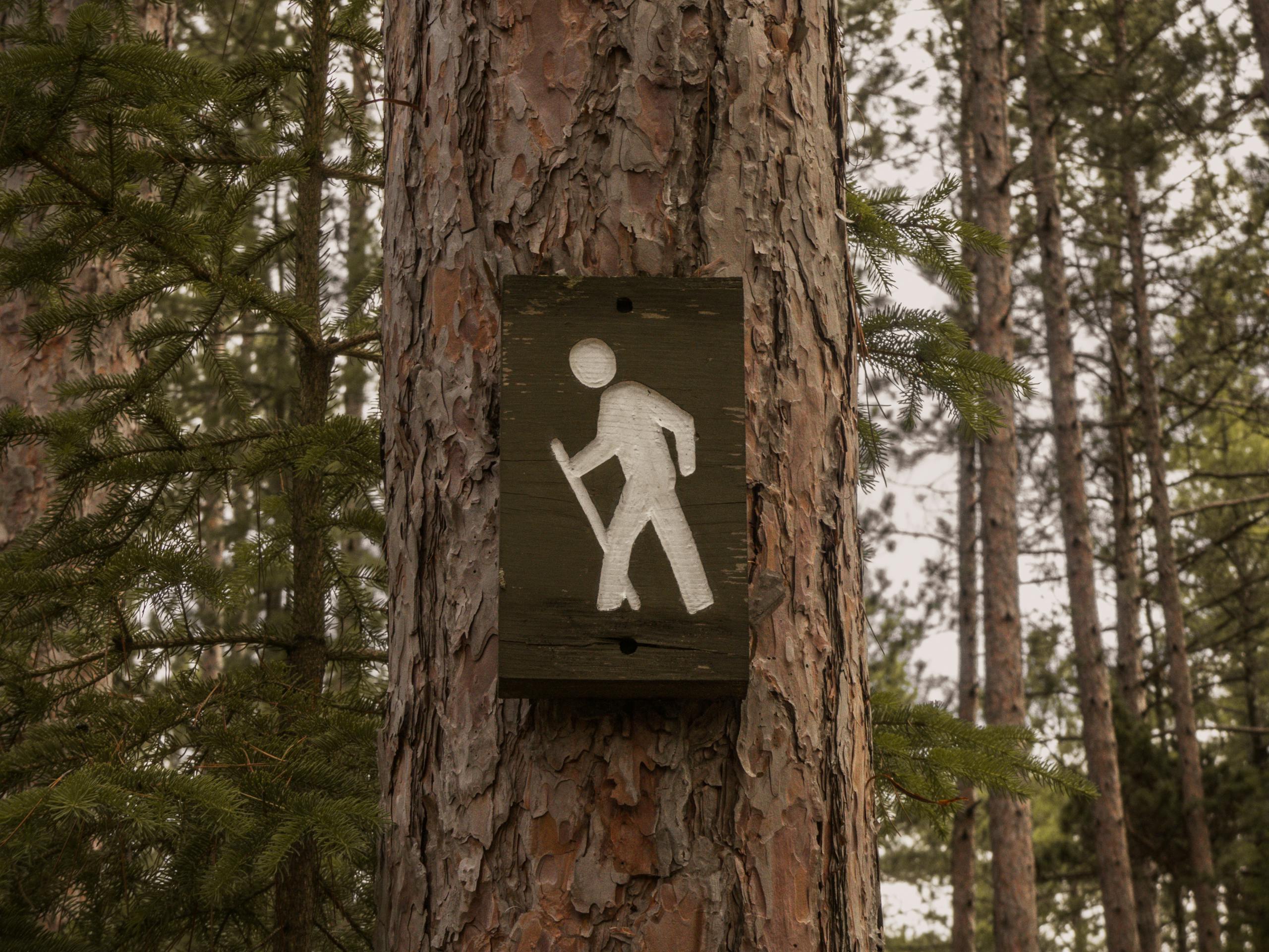 A hiking trail sign posted on a tree in a peaceful pine forest setting, indicating a tranquil walking path.